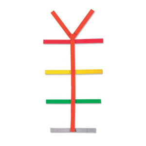 Juego de correas araña